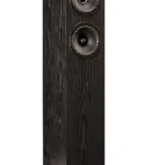 Fyne Audio F501E